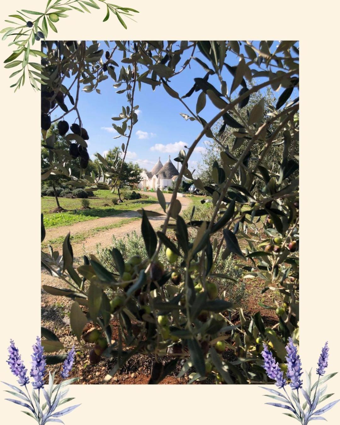 Trullo Trilli Puglia Villa Martina Franca Luaran gambar